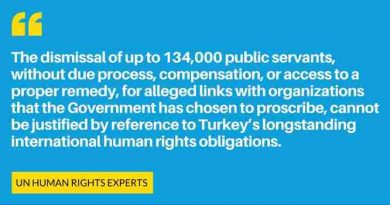 UN Experts Warn Turkey About the Impact of Purge