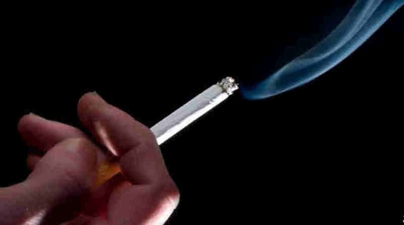 Tobacco Use Kills Over 7 Million People Each Year: WHO Report