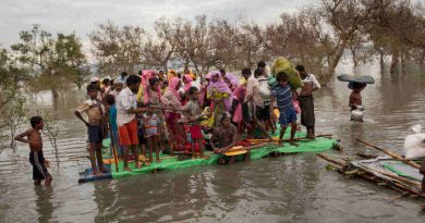 Rohingya refugees, including infants and children, on a makeshift raft made of logs, bamboo poles and jerrycans are brought to shore through the mangroves after they crossed the Naf River, which demarcates the border between Myanmar and Bangladesh, Sunday 12 November 2017. Photo: UNICEF