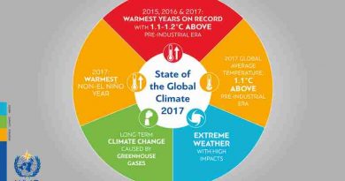 The World Meteorological Organization (WMO) confirmed that 2017 was among the three warmest years on record.