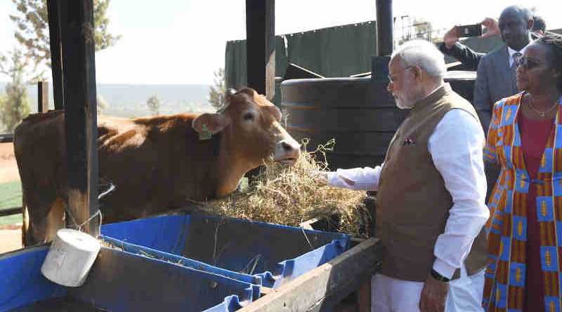 The Prime Minister, Shri Narendra Modi donates 200 cows under “Girinka” (one cow per poor family programme), at Rweru Model village, in Rwanda on July 24, 2018.