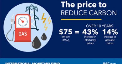 How to Mitigate Climate Change. Photo: IMF