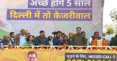 Arvind Kejriwal addresses the crowd after winning the Delhi election on February 11, 2020. Photo: AAP