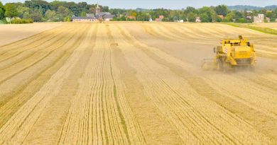 Harvest of the barley - Combine harvester. Photo: European Parliament