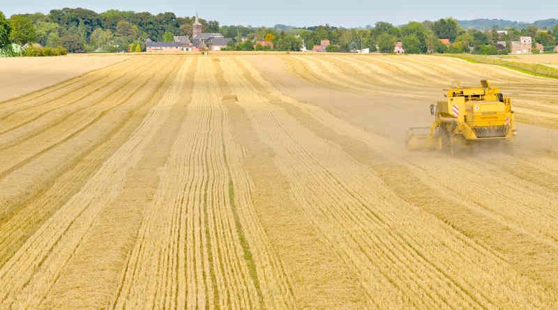 Harvest of the barley - Combine harvester. Photo: European Parliament