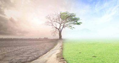 European Parliament declares a climate emergency and MEPs want immediate and ambitious action to limit effects of climate change. Photo: European Parliament  