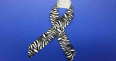 Zebra-print ribbon is a symbol for awareness of primary immunodeficiencies and other rare diseases. Photo: NIAID