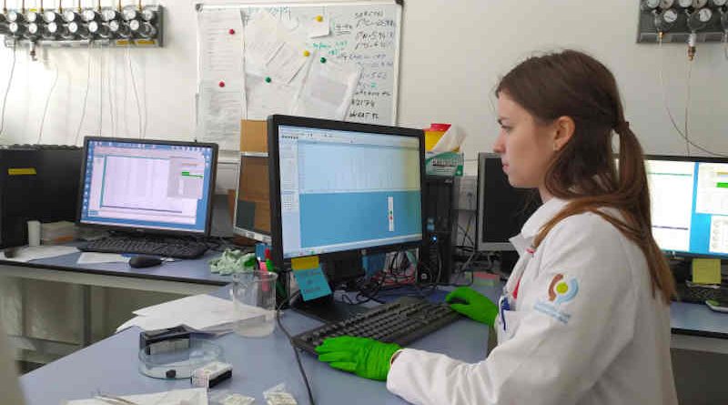 Scientists from the Jozef Stefan Institute studied the isotopic and elemental composition of different sets of truffles (Photo: O. Nives/Jozef Stefan Institute, IAEA)