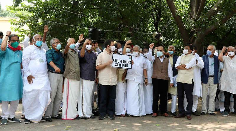 Congress leader Rahul Gandhi holding the placard with the slogan "Save Farmers, Save India" in New Delhi on August 6, 2021. Photo: Congress