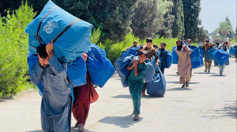 IOM is expanding its relief operations across Afghanistan in response to mounting humanitarian needs fuelled by drought and conflict. Photo: IOM (Representational Image)