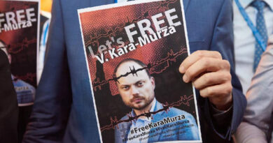 Vladimir Kara-Murza. Photo: CoE