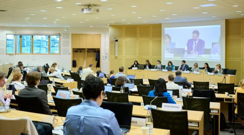 GRECO Hosts Civil Society Dialogue on Corruption Prevention and Integrity. Photo: GRECO