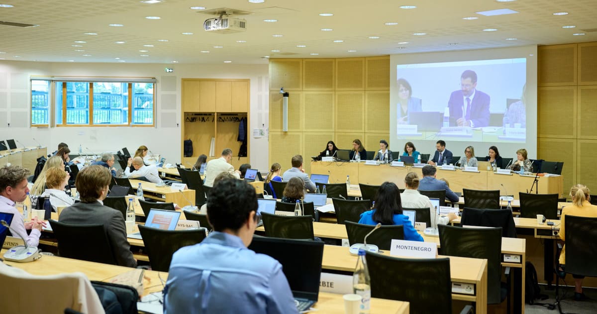 GRECO Hosts Civil Society Dialogue on Corruption Prevention and Integrity. Photo: GRECO