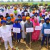 ਪੰਜਾਬ ਦੀ ਲੈਂਡ ਪੂਲਿੰਗ ਪਾਲਿਸੀ ਨੇ ਚੁੱਕਿਆ ਵਿਵਾਦ, ਕਿਸਾਨਾਂ ਨੂੰ ਸ਼ਿਕਾਇਤਾਂ ਦਰਜ ਕਰਨ ਦੀ ਅਪੀਲ